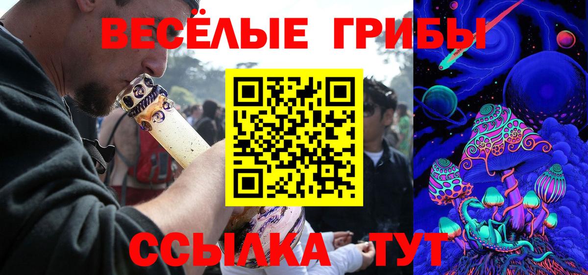 Псилоцибиновые грибы Psilocybe  Вход с VPN  Кимры 