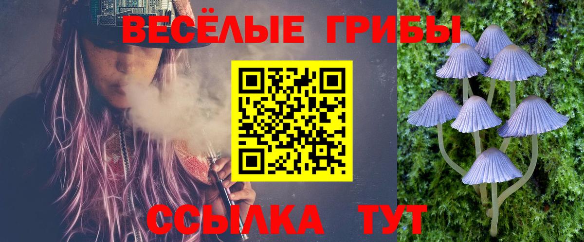 Псилоцибиновые грибы GOLDEN TEACHER Кимры