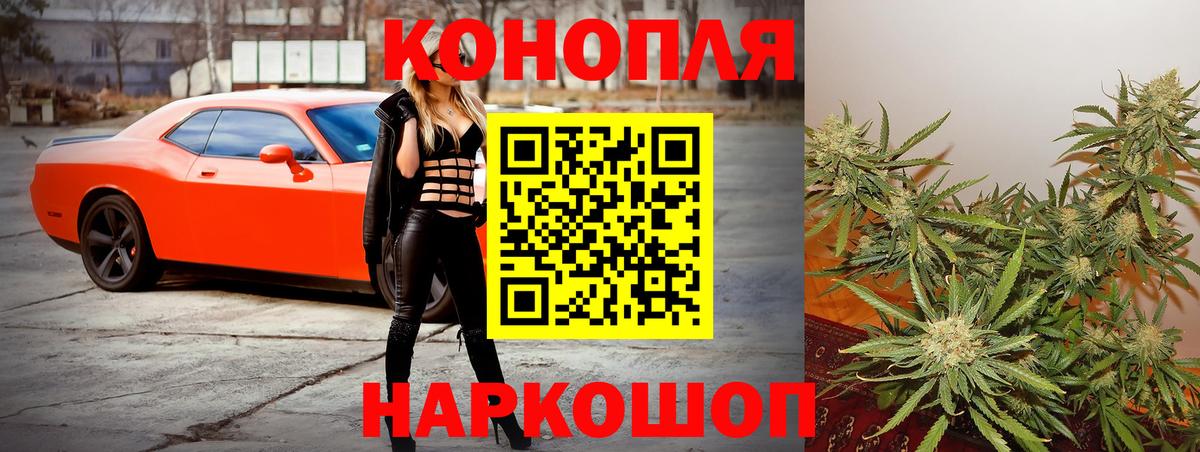 Бошки Шишки ГИДРОПОН Кимры
